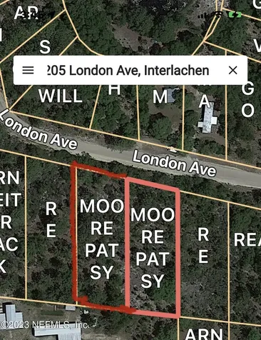 205 London Avenue Interlachen FL 32148
