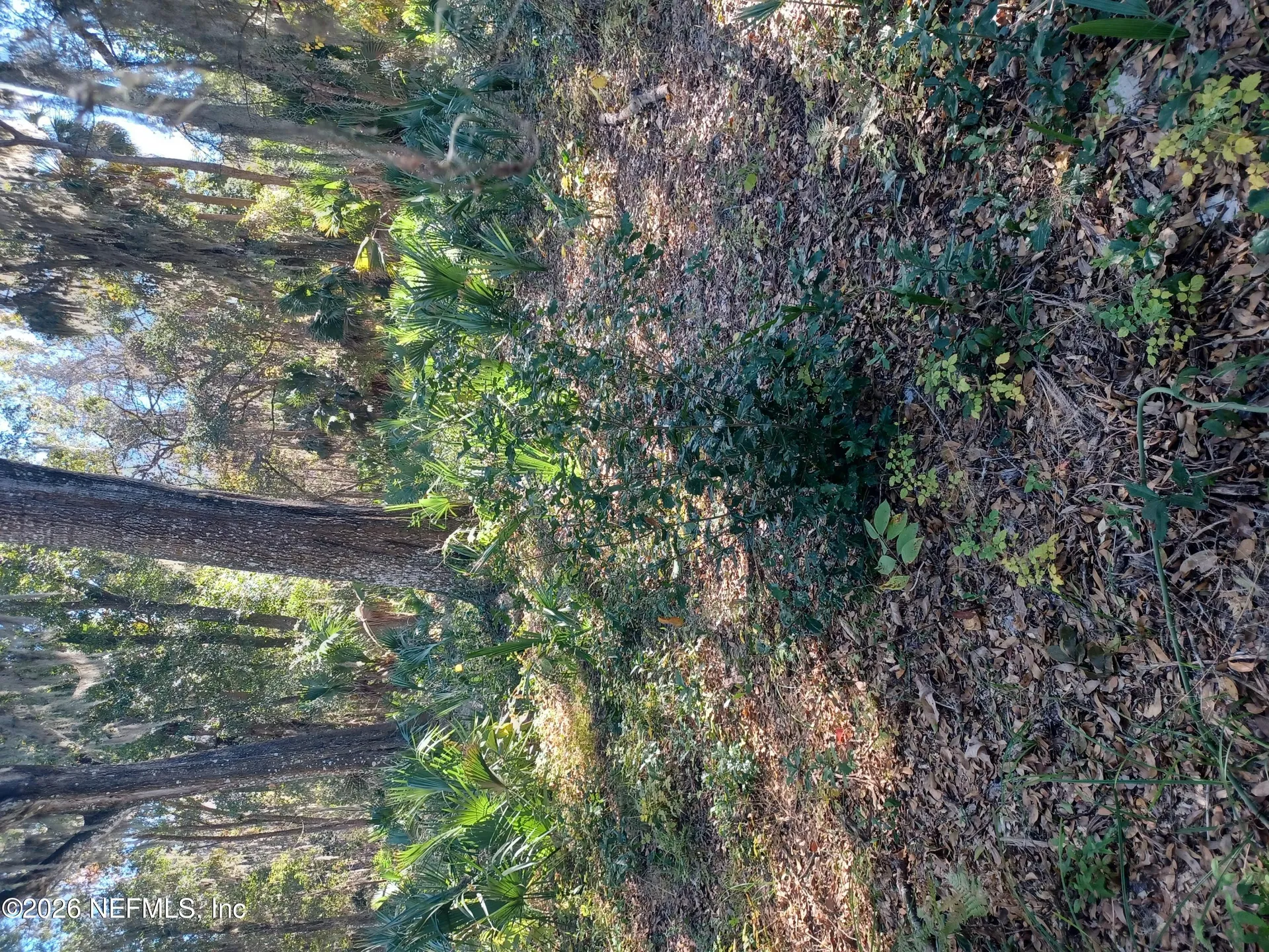 2499 Henley Road Green Cove Springs FL 32043