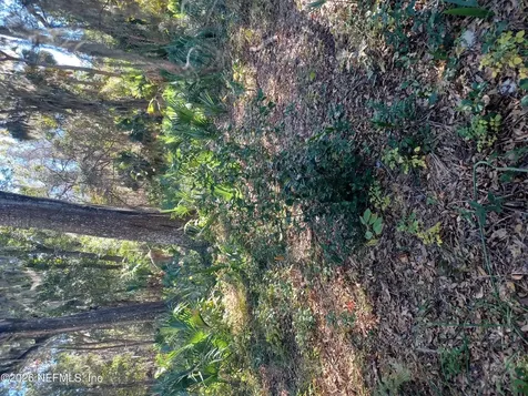 2499 Henley Road Green Cove Springs FL 32043