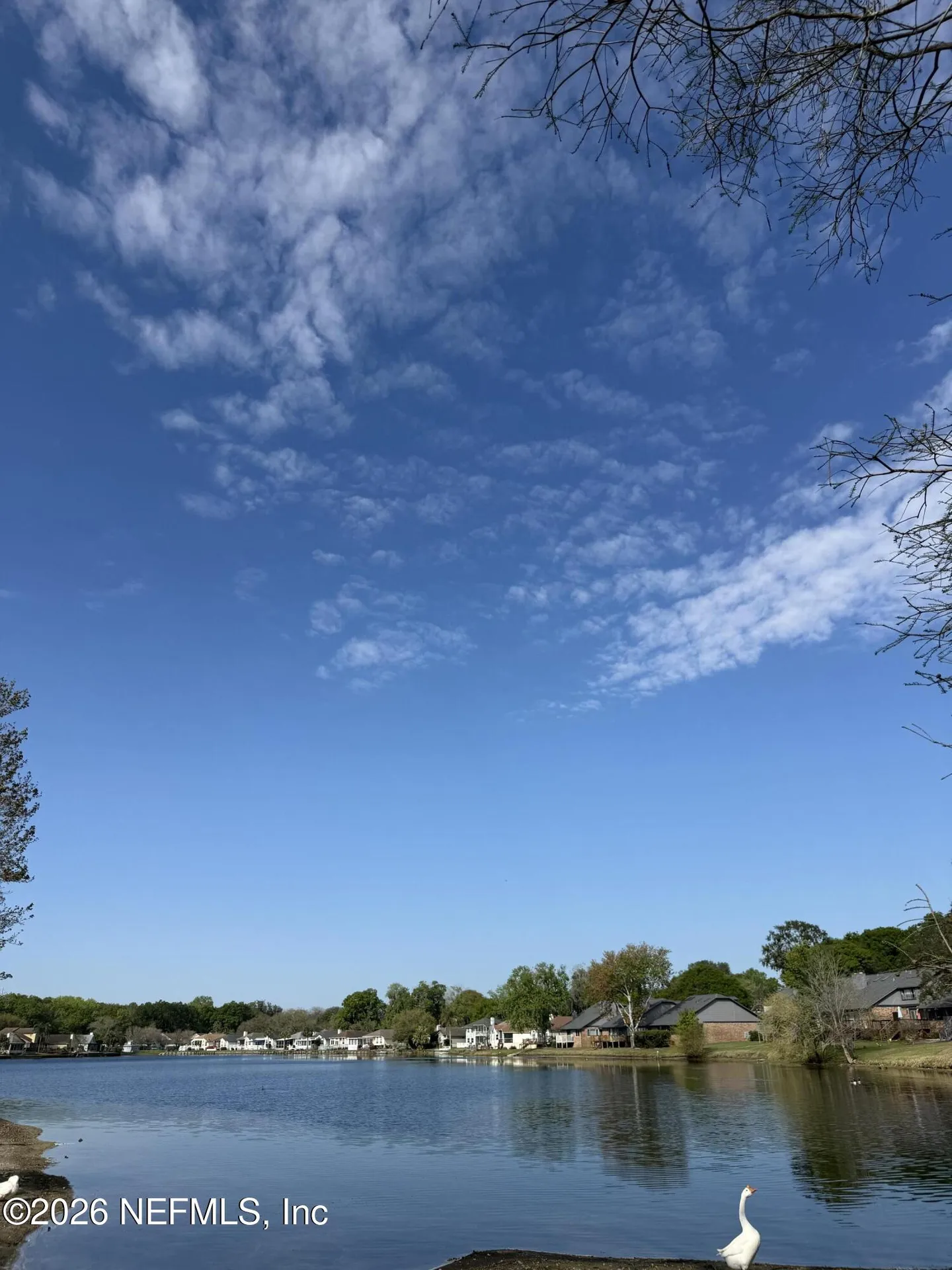 11890 Arbor Lake Drive Jacksonville FL 32225