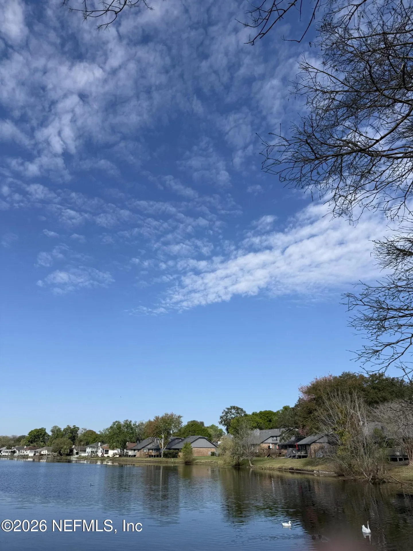 11890 Arbor Lake Drive Jacksonville FL 32225
