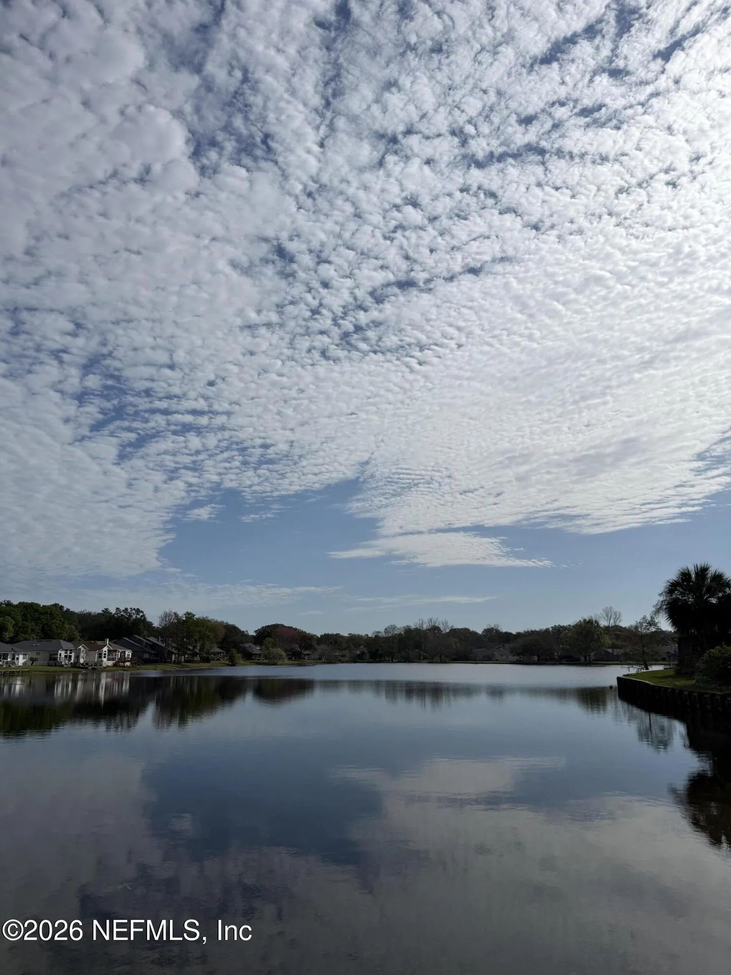 11890 Arbor Lake Drive Jacksonville FL 32225