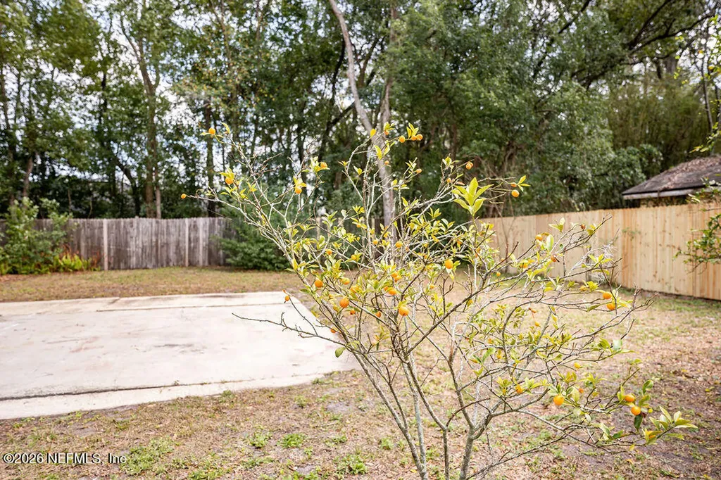 1209 Stimson Street Jacksonville FL 32205