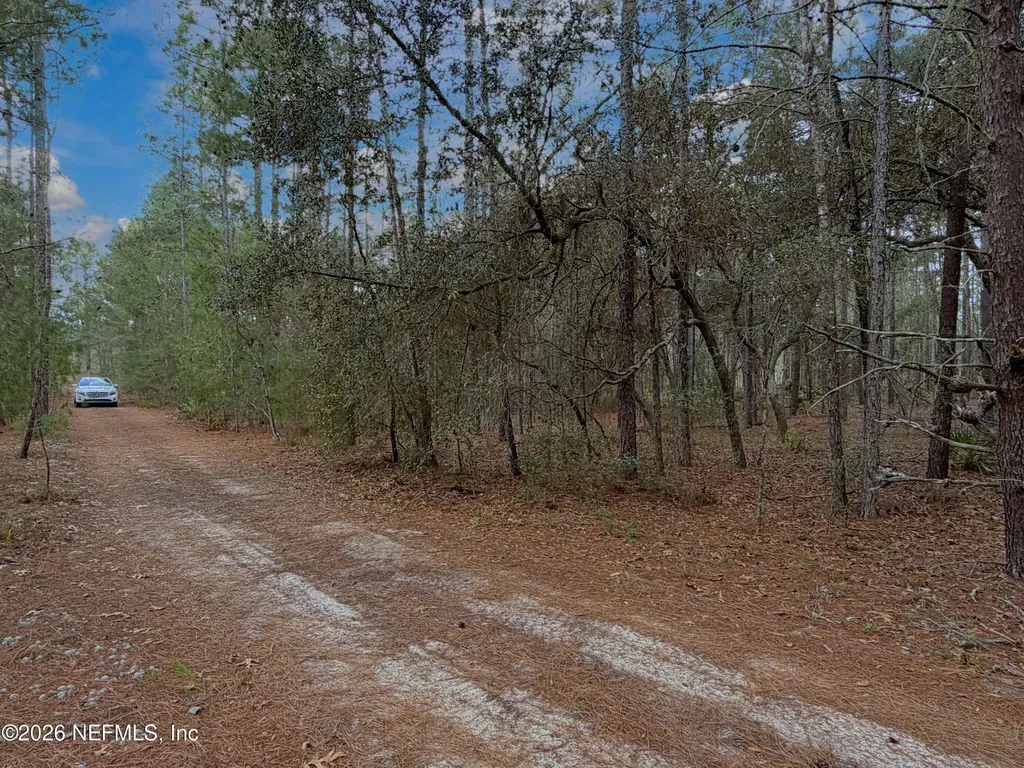 215 Rifle Road Florahome FL 32140