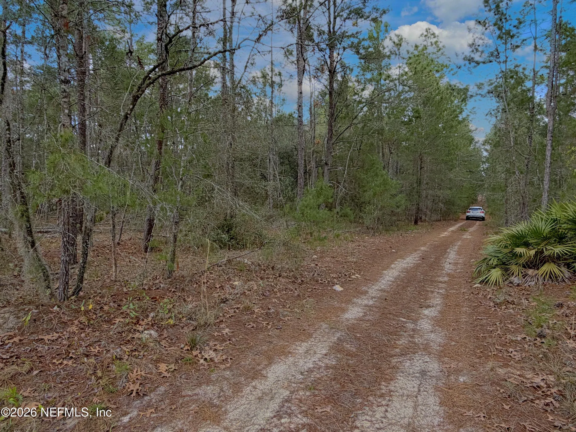 215 Rifle Road Florahome FL 32140