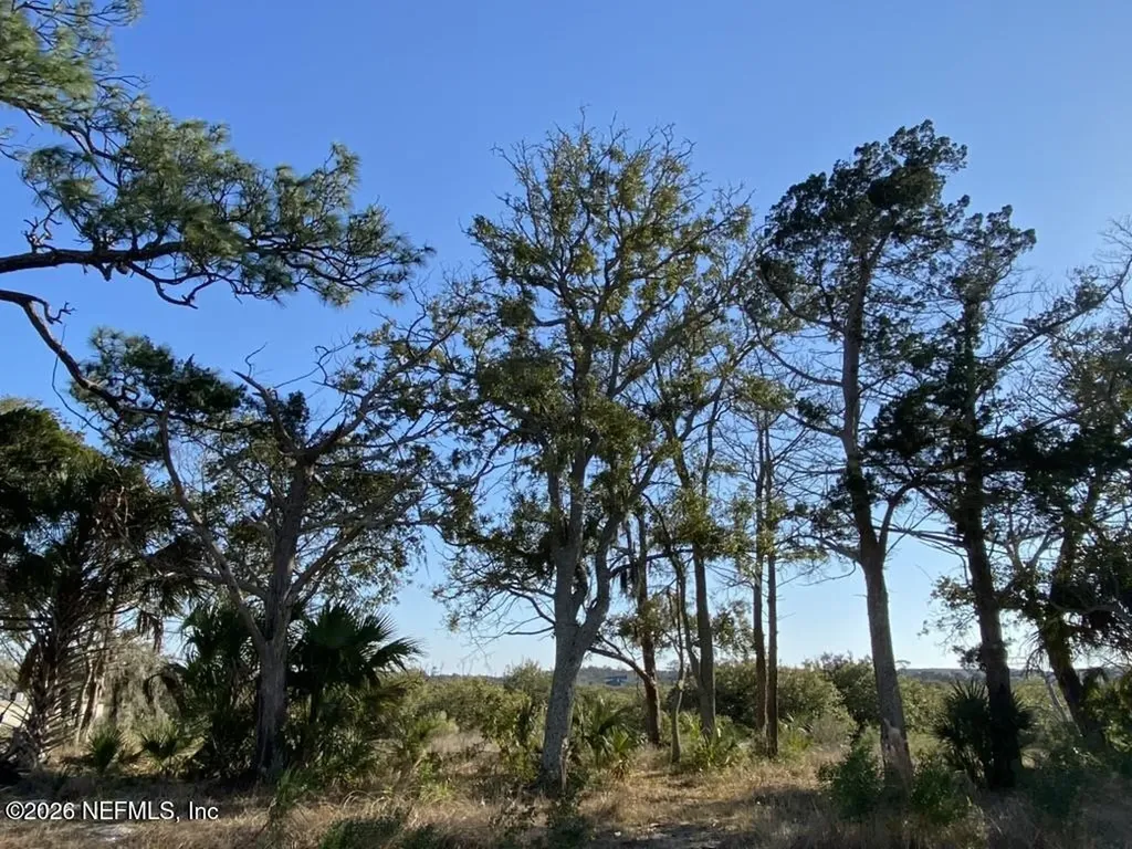 220 Pelican Reef Drive St. Augustine FL 32080