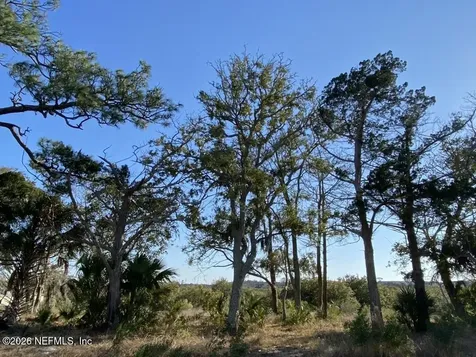 220 Pelican Reef Drive St. Augustine FL 32080