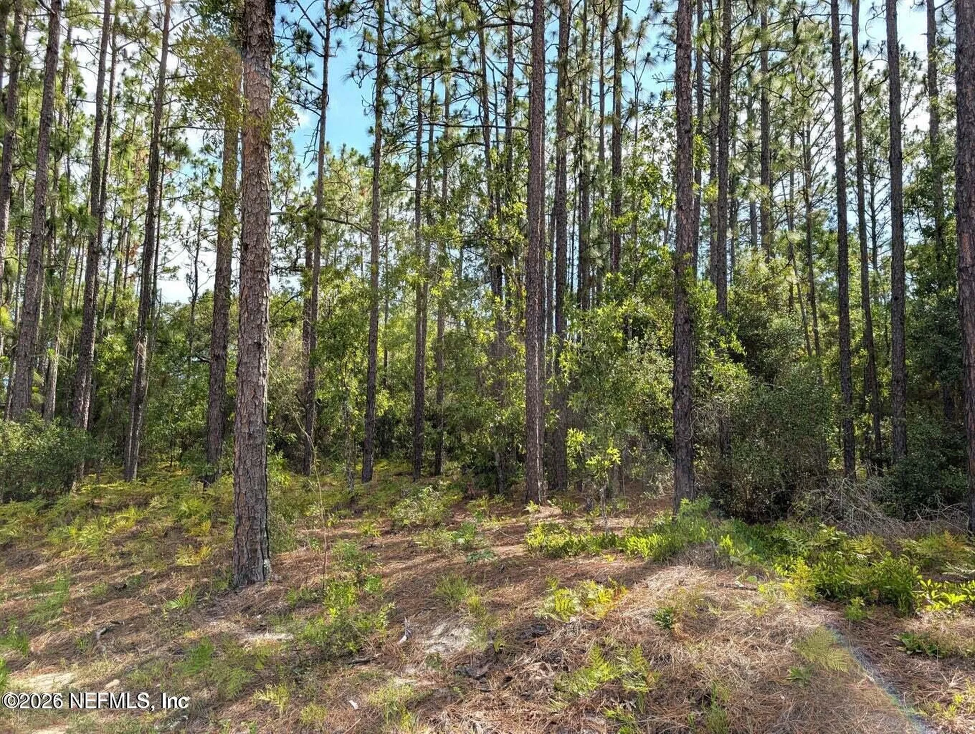 0 Cr 218 Pasafino Road Green Cove Springs FL 32043