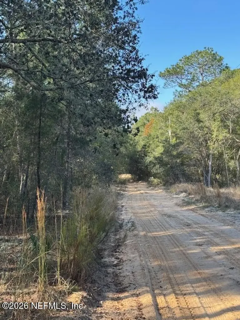113 Grove Street Welaka FL 32112