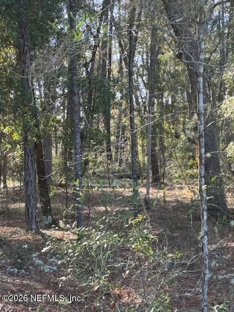113 Grove Street Welaka FL 32112