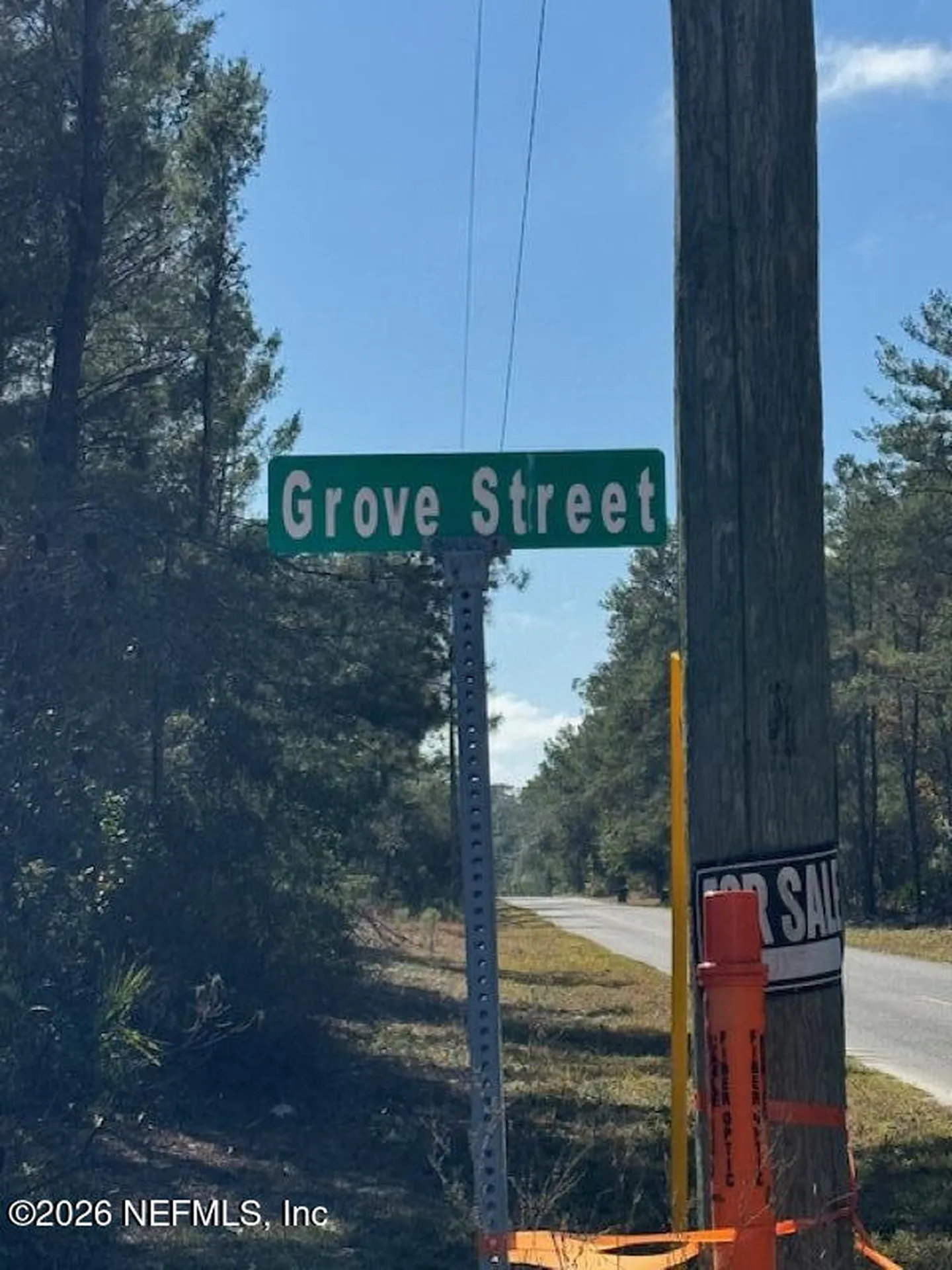 113 Grove Street Welaka FL 32112