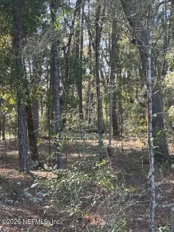 113 Grove Street Welaka FL 32112