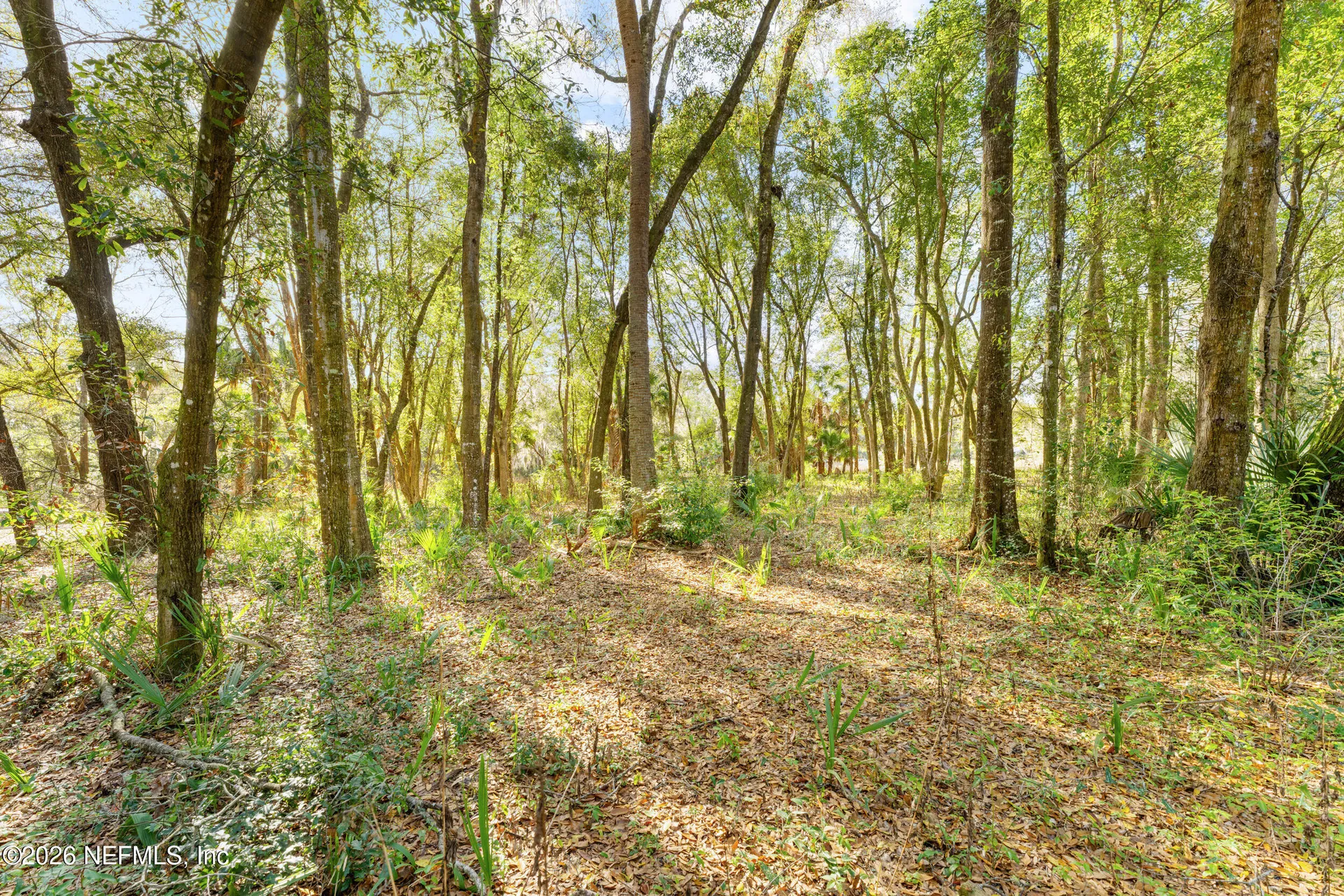120 County Road 309c Palatka FL 32177