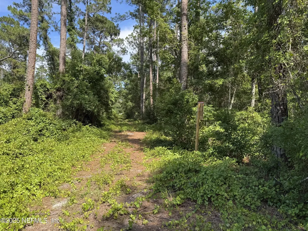 215 Ward Avenue Crescent City FL 32112