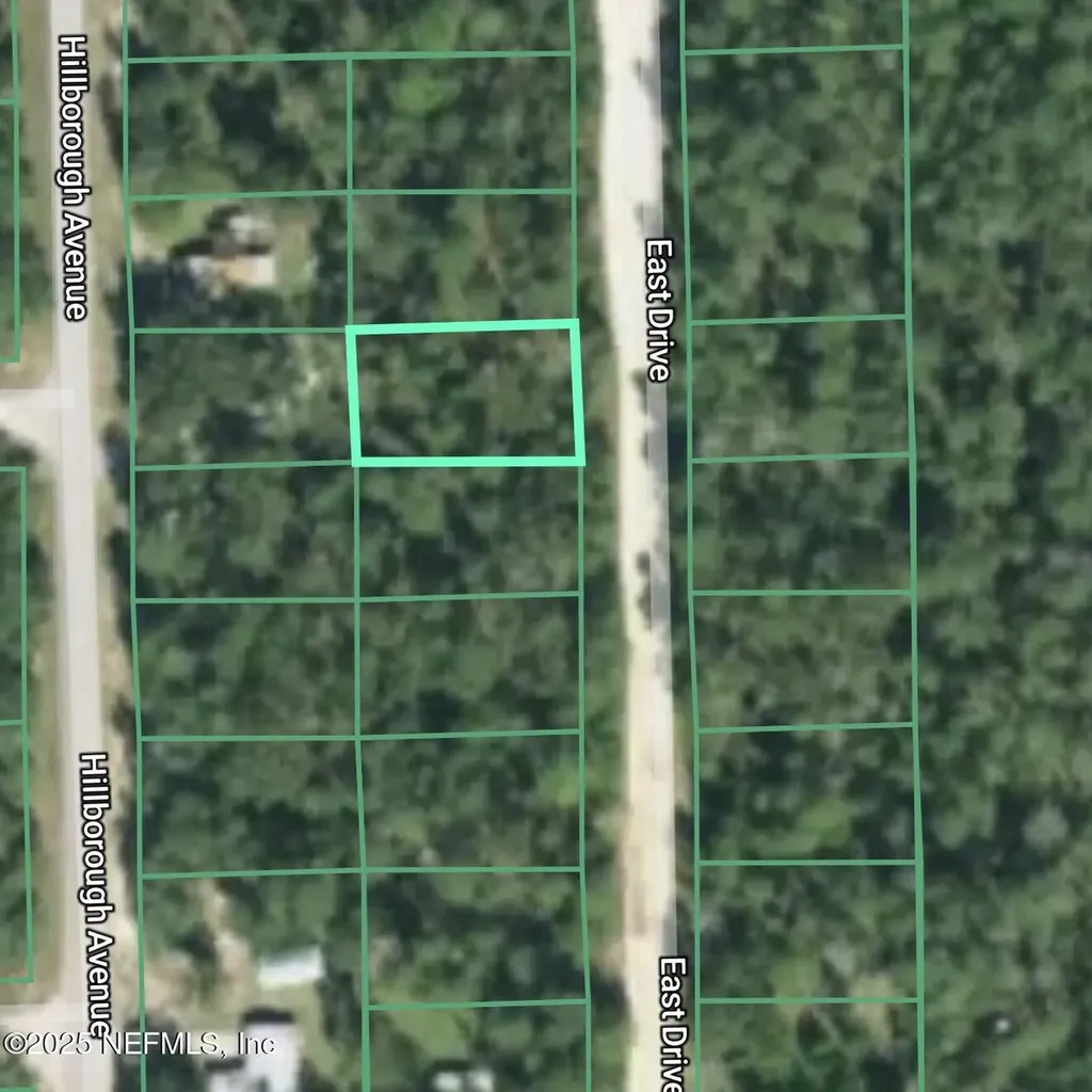 127 East Drive Florahome FL 32140