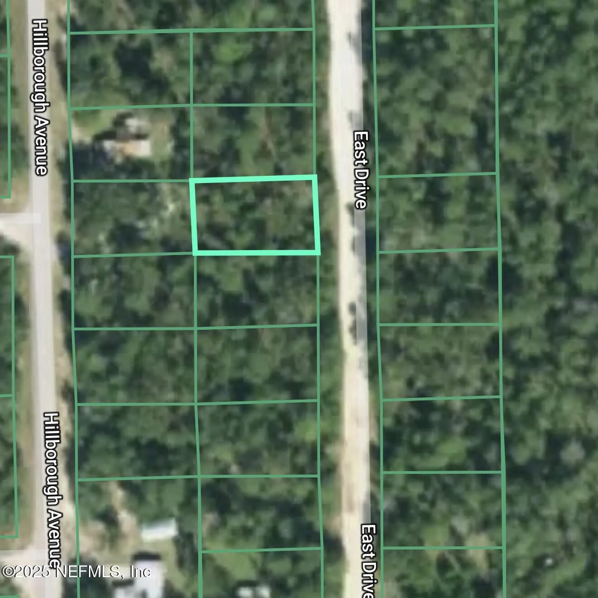 127 East Drive Florahome FL 32140