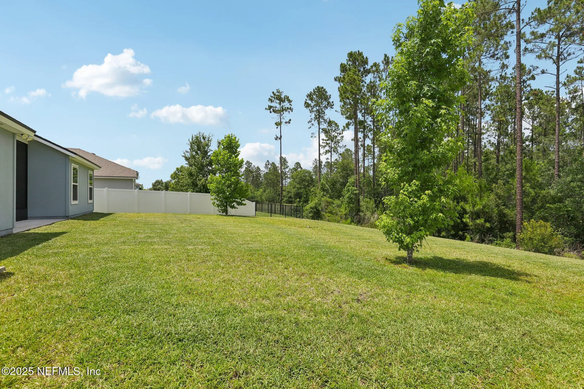 2623 Cold Stream Lane Green Cove Springs FL 32043