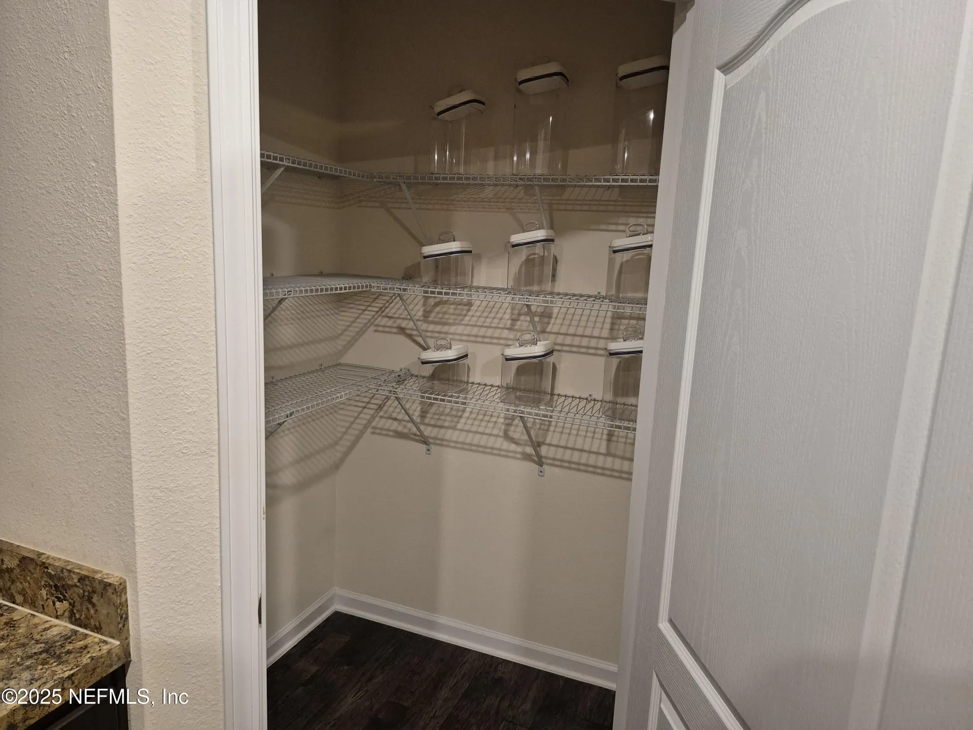 2420 Cold Stream Lane Green Cove Springs FL 32043