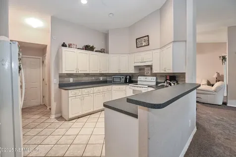 10121 SW 61st Terrace Road Ocala FL 34476