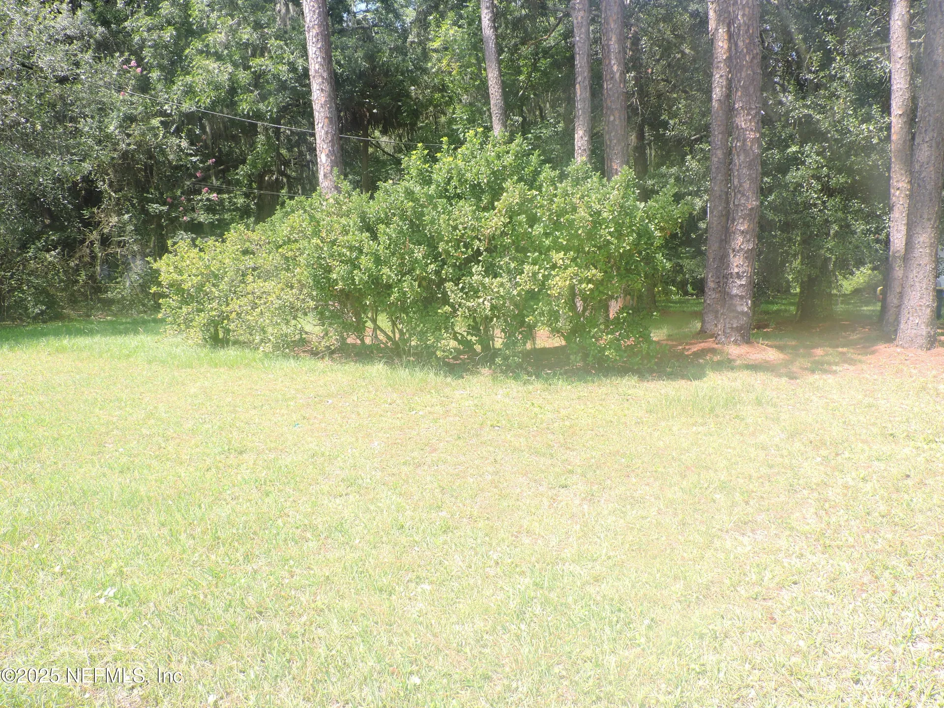 12556 Yellow Bluff Road Jacksonville FL 32226
