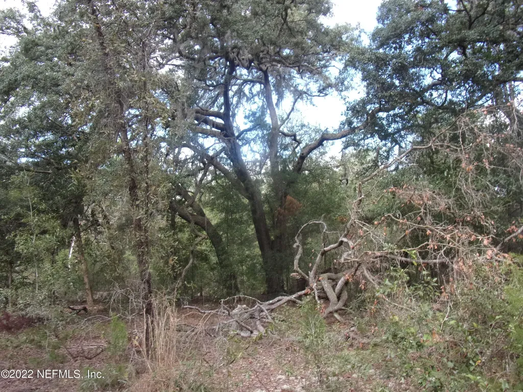 0 S County Road 315 Interlachen FL 32148