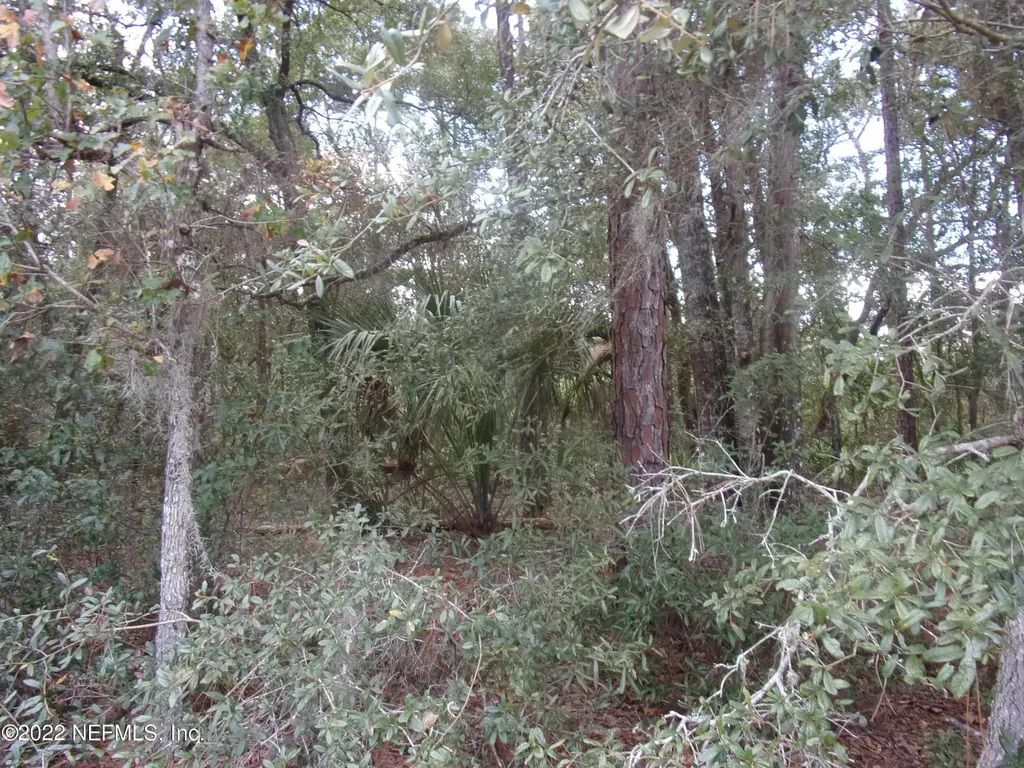 0 S County Road 315 Interlachen FL 32148