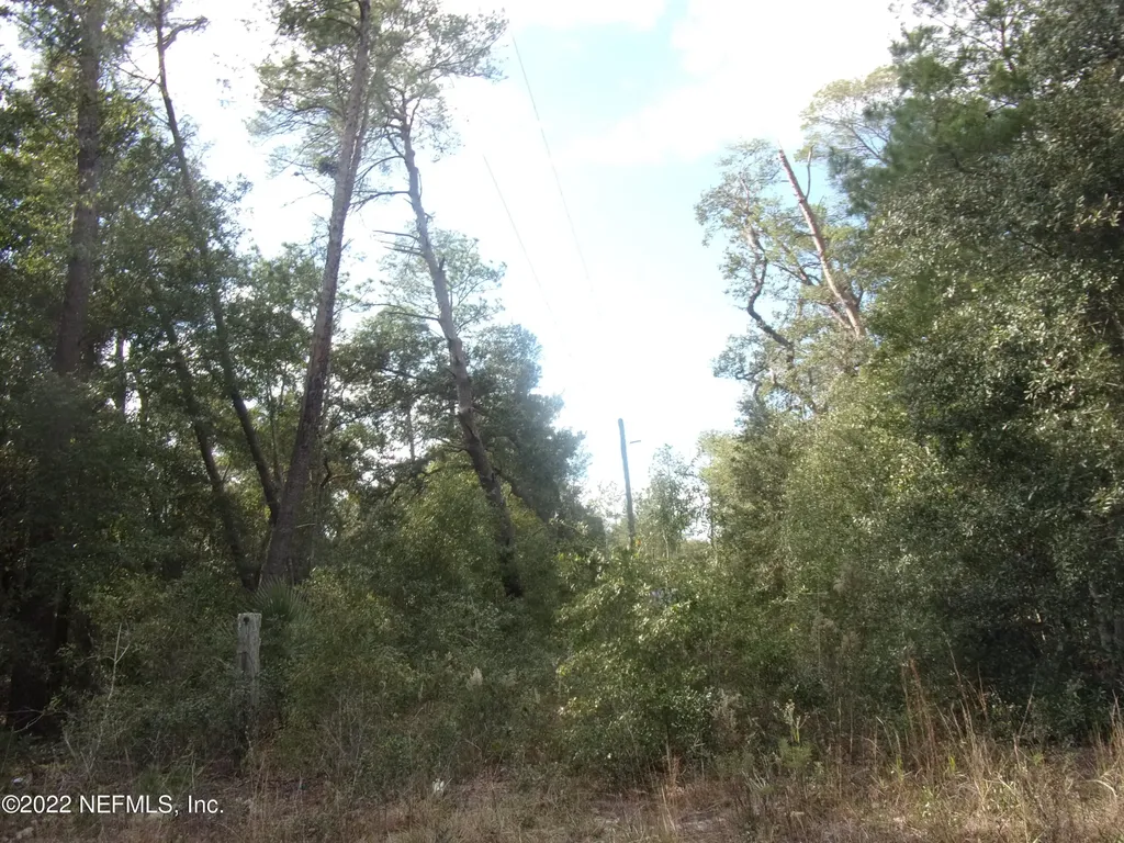 0 S County Road 315 Interlachen FL 32148