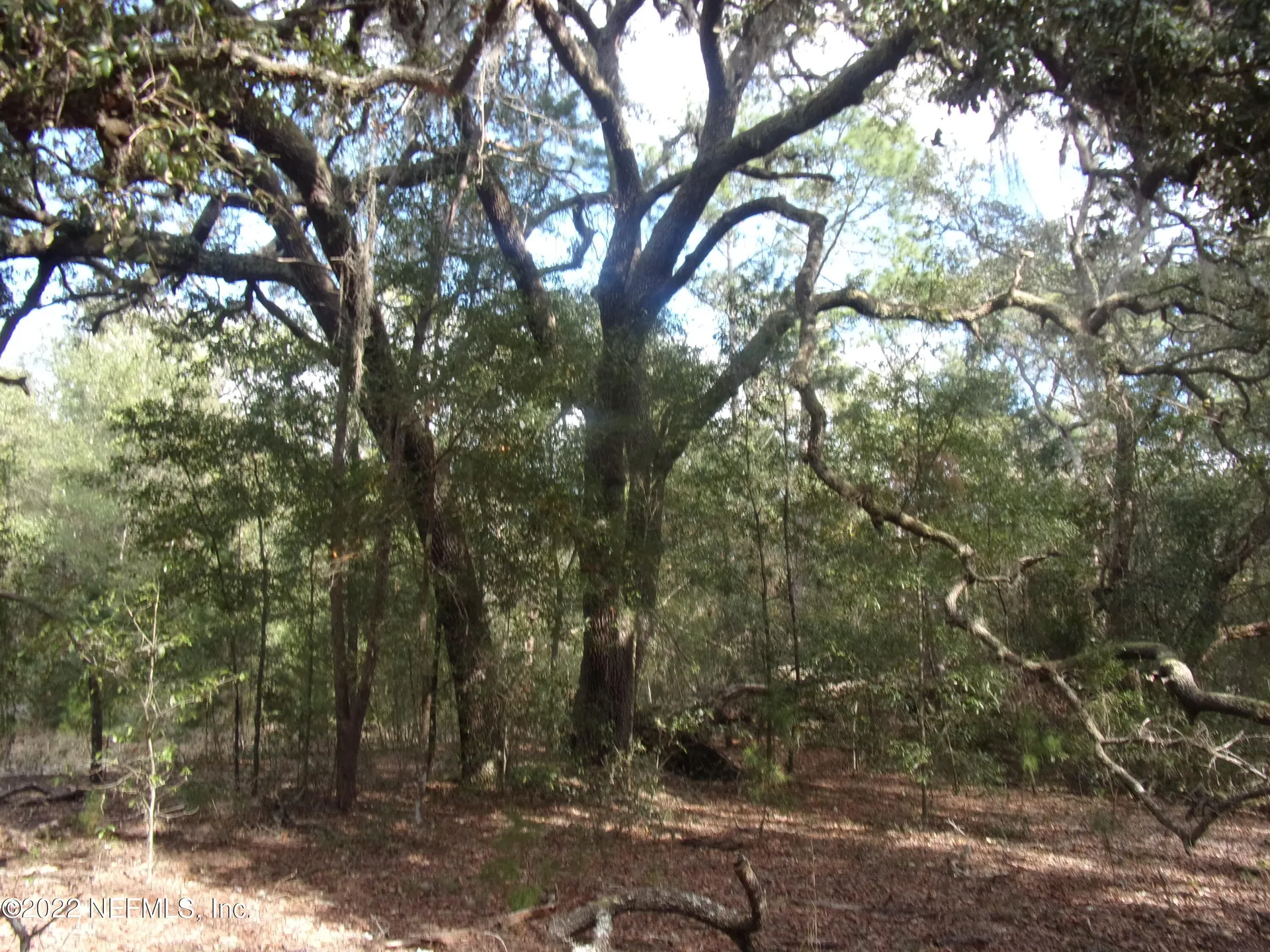 0 S County Road 315 Interlachen FL 32148
