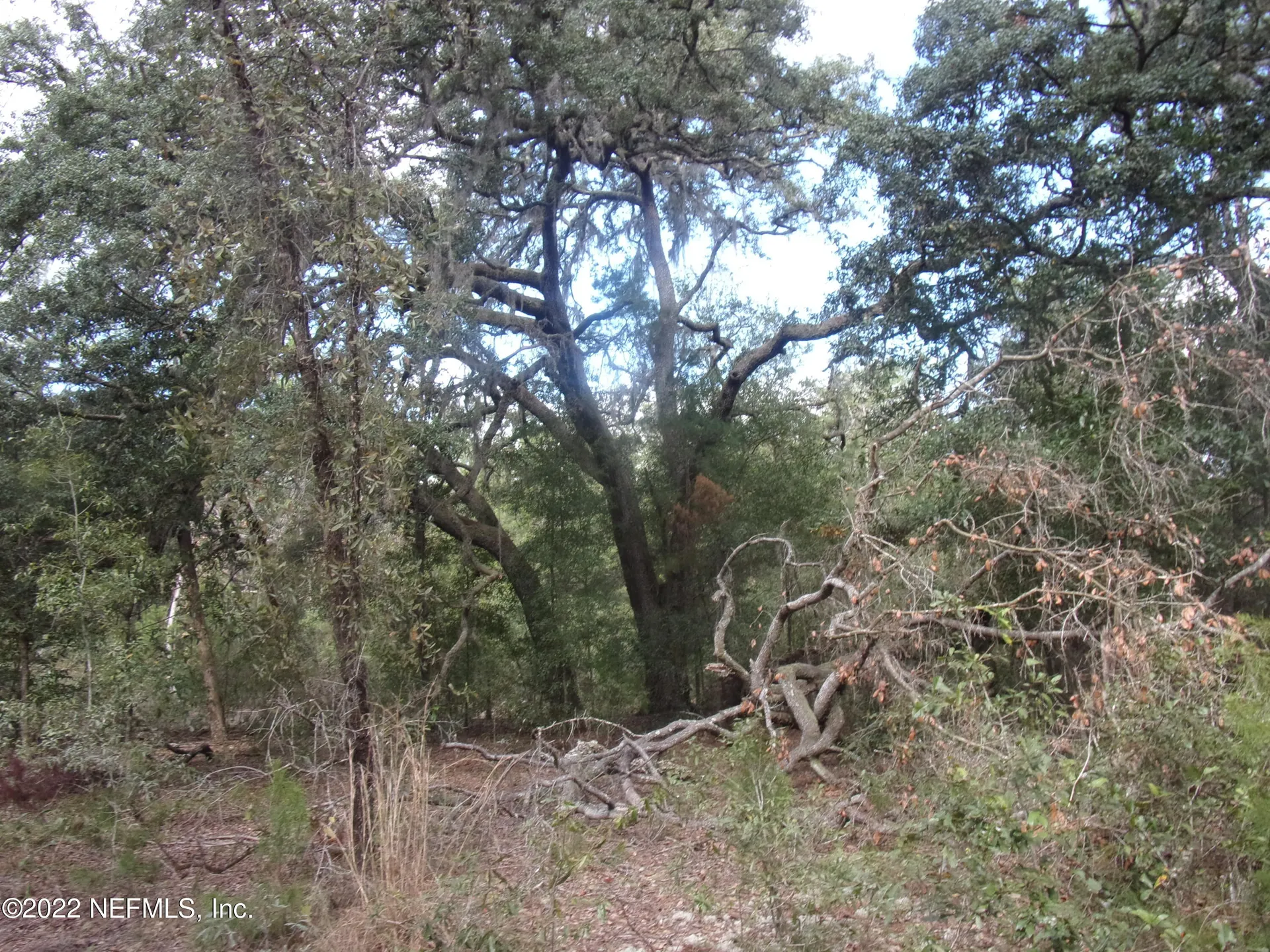0 S County Road 315 Interlachen FL 32148