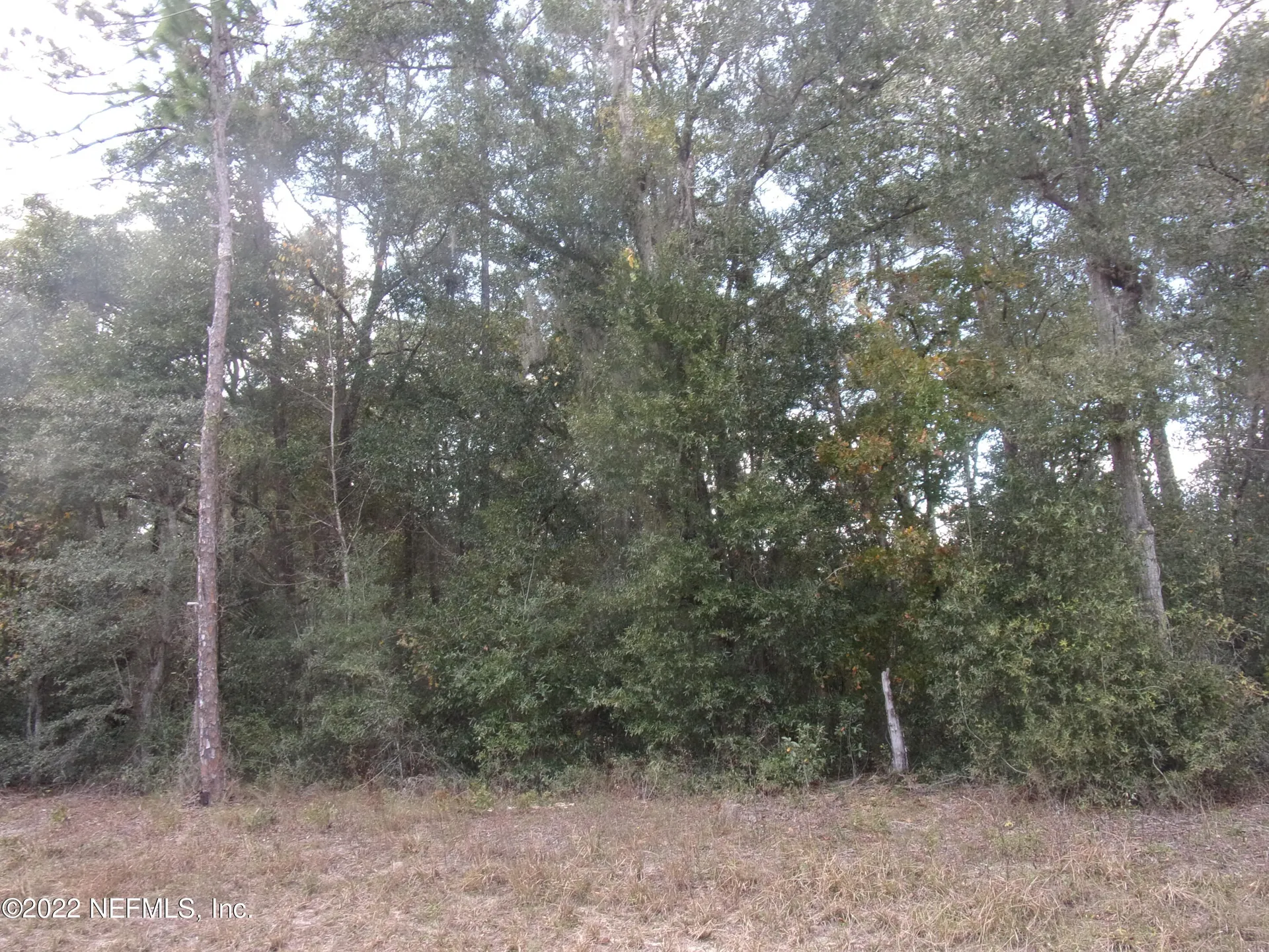 0 S County Road 315 Interlachen FL 32148