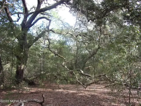 0 S County Road 315 Interlachen FL 32148