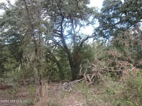 0 S County Road 315 Interlachen FL 32148