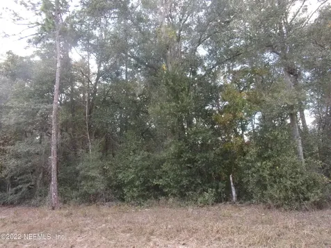 0 S County Road 315 Interlachen FL 32148