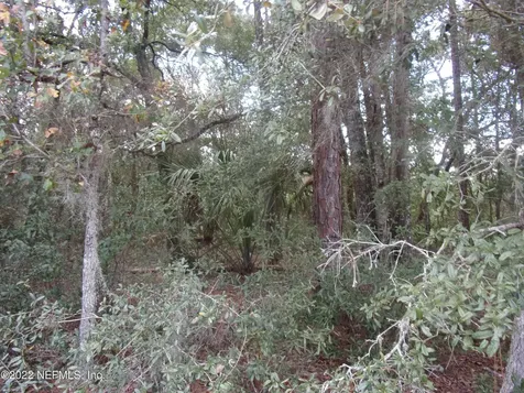 0 S County Road 315 Interlachen FL 32148