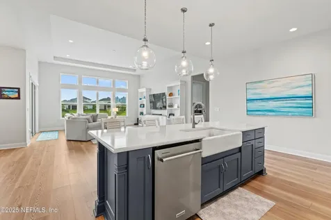 46 Hydrilla Court St. Augustine FL 32095