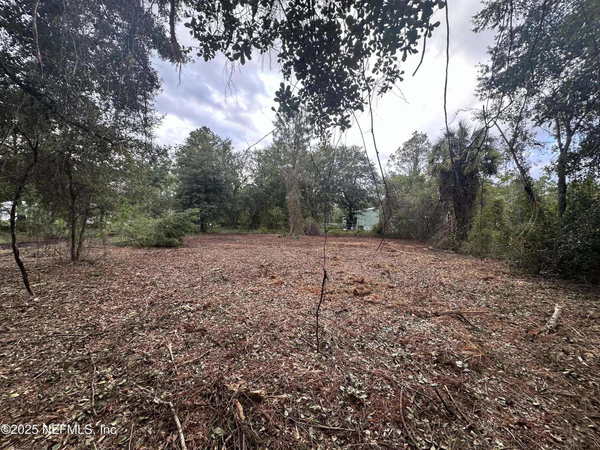323 Carteret Road Georgetown FL 32139