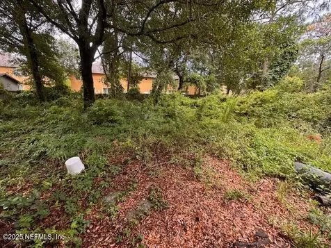 3537 Raymur Villa Drive Jacksonville FL 32277