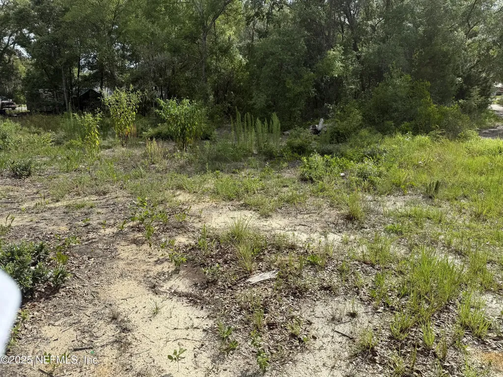 333 2nd Way Interlachen FL 32148