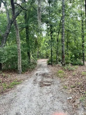 2941 Ravine Hill Drive Middleburg FL 32068