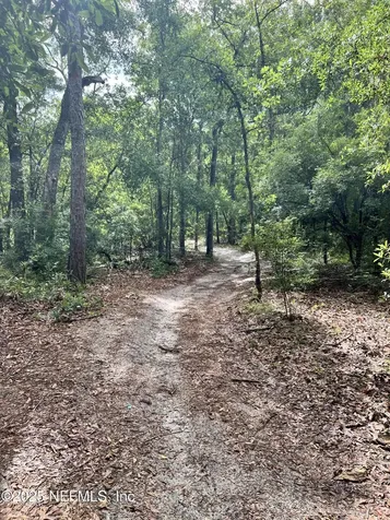 2941 Ravine Hill Drive Middleburg FL 32068