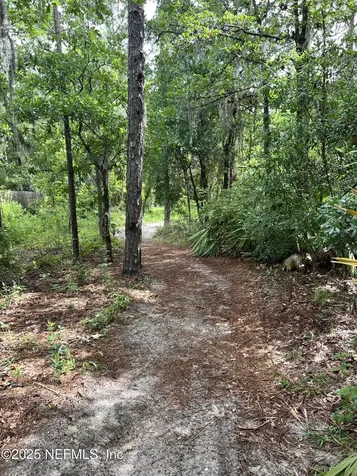 2941 Ravine Hill Drive Middleburg FL 32068