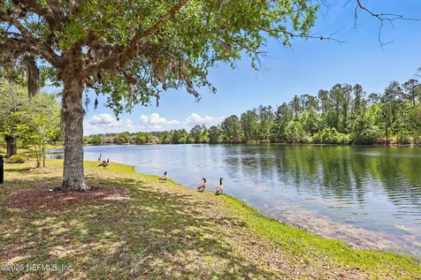 417 Running Woods Street Orange Park FL 32065