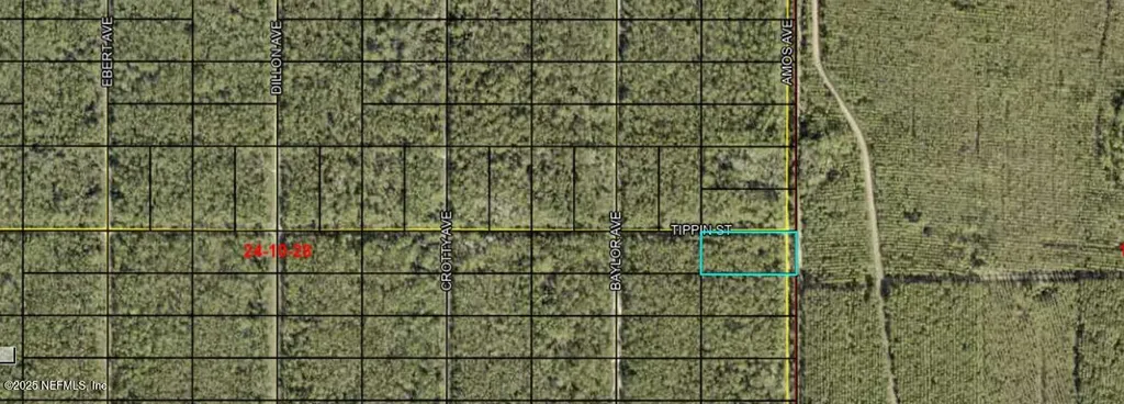0 Amos Avenue Hastings FL 32145