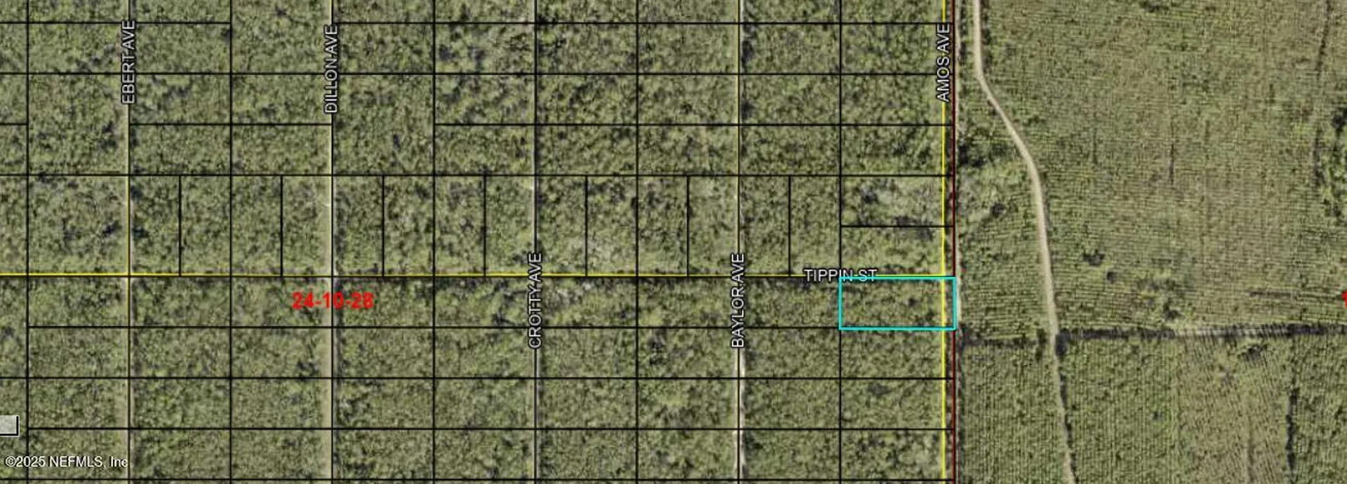 0 Amos Avenue Hastings FL 32145