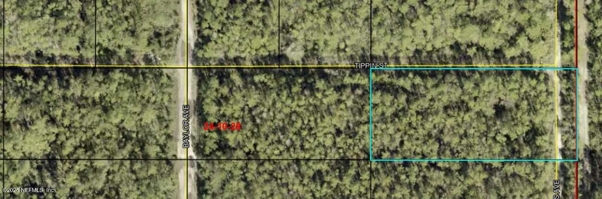 0 Amos Avenue Hastings FL 32145