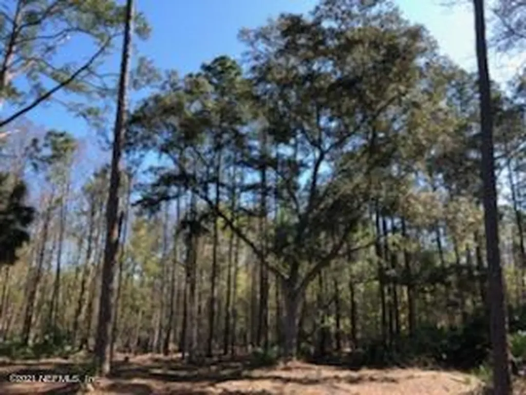 2850 Hilltop Road St. Augustine FL 32086