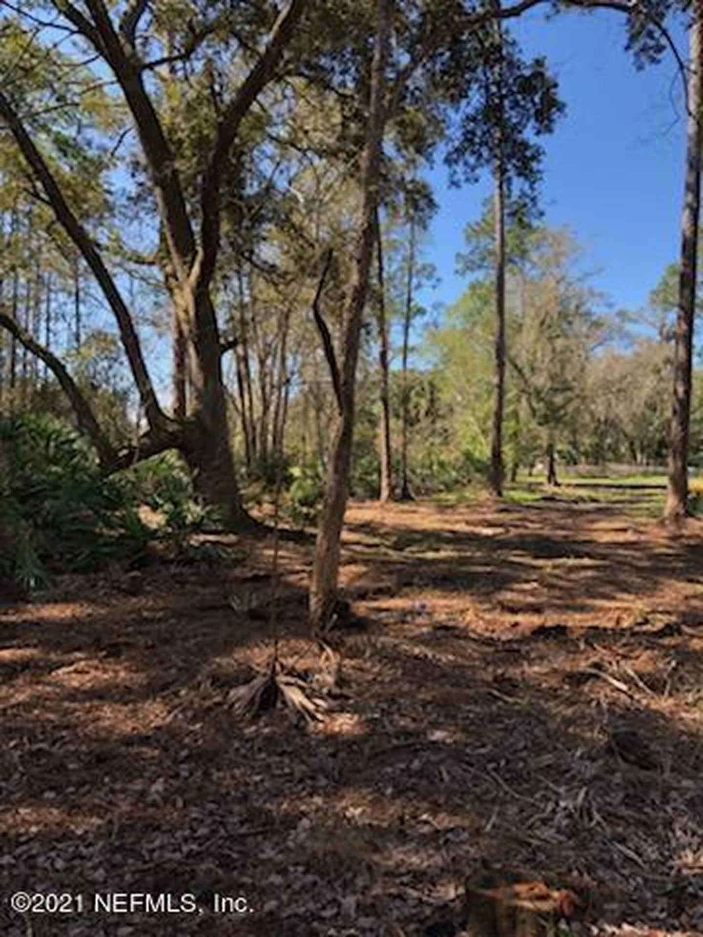2850 Hilltop Road St. Augustine FL 32086