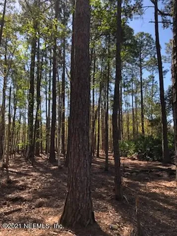 2850 Hilltop Road St. Augustine FL 32086