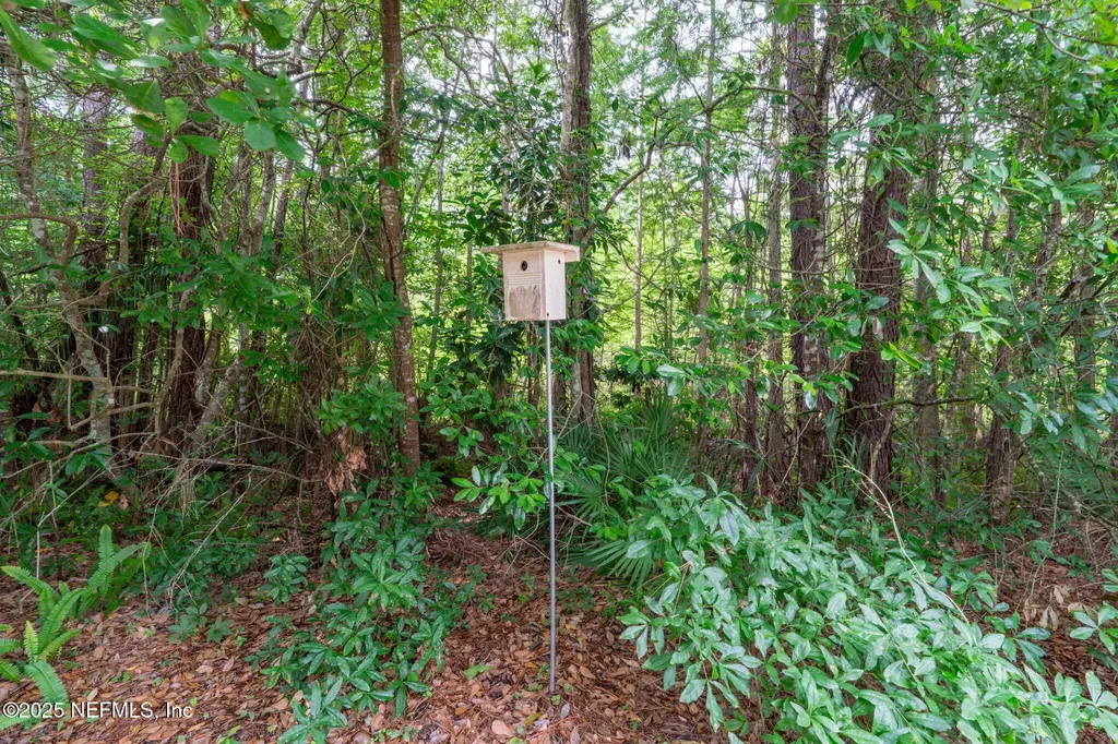 2305 Range Crescent Court Fleming Island FL 32003