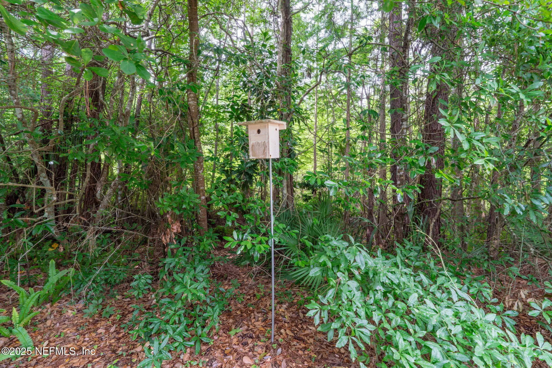 2305 Range Crescent Court Fleming Island FL 32003